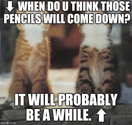 Da pencils. | ⬇ WHEN DO U THINK THOSE PENCILS WILL COME DOWN? IT WILL PROBABLY BE A WHILE. ⬆ | image tagged in cats looking up | made w/ Imgflip meme maker