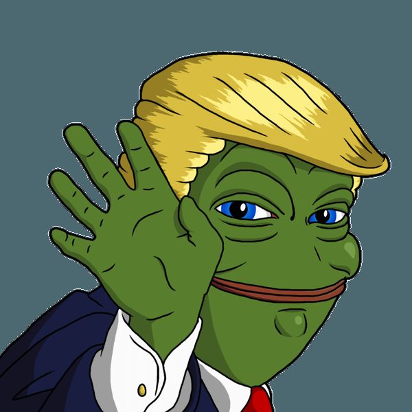 Trump pepe frog Blank Meme Template