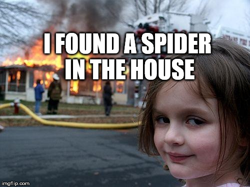 Disaster Girl Meme | I FOUND A SPIDER IN THE HOUSE | image tagged in memes,disaster girl | made w/ Imgflip meme maker