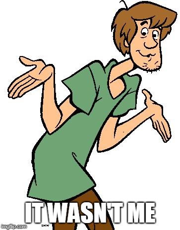 Shaggy from Scooby Doo |  IT WASN'T ME | image tagged in shaggy from scooby doo | made w/ Imgflip meme maker