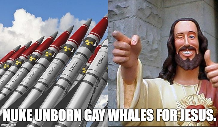 NUKE UNBORN GAY WHALES FOR JESUS. | image tagged in nuke,gay,whales,jesus | made w/ Imgflip meme maker