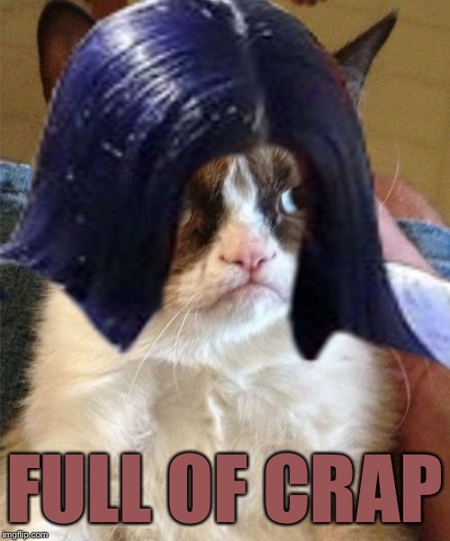 Grumpy doMima (flipped) | FULL OF CRAP | image tagged in grumpy domima flipped | made w/ Imgflip meme maker