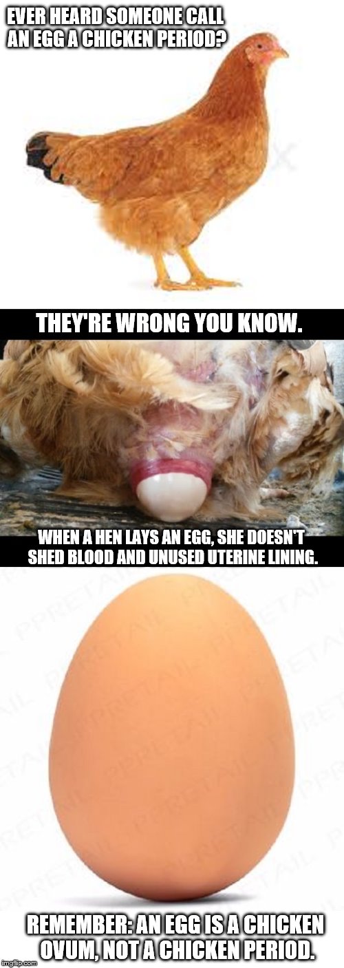 What an egg is. | EVER HEARD SOMEONE CALL AN EGG A CHICKEN PERIOD? THEY'RE WRONG YOU KNOW. WHEN A HEN LAYS AN EGG, SHE DOESN'T SHED BLOOD AND UNUSED UTERINE LINING. REMEMBER: AN EGG IS A CHICKEN OVUM, NOT A CHICKEN PERIOD. | image tagged in hen,laying an egg,egg | made w/ Imgflip meme maker
