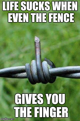 Life sucks |  LIFE SUCKS WHEN EVEN THE FENCE; GIVES YOU THE FINGER | image tagged in lufe sucks,funny fence,flipping the bird,give you the finger | made w/ Imgflip meme maker