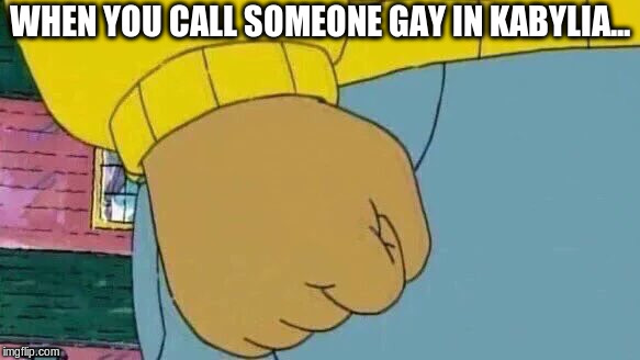 Arthur Fist | WHEN YOU CALL SOMEONE GAY IN KABYLIA... | image tagged in memes,arthur fist | made w/ Imgflip meme maker