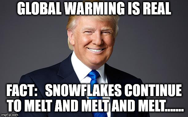 GLOBAL WARMING IS REAL; FACT:   SNOWFLAKES CONTINUE TO MELT AND MELT AND MELT....... | made w/ Imgflip meme maker