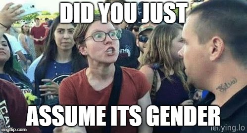 Assume Gender | DID YOU JUST; ASSUME ITS GENDER | image tagged in assume gender | made w/ Imgflip meme maker