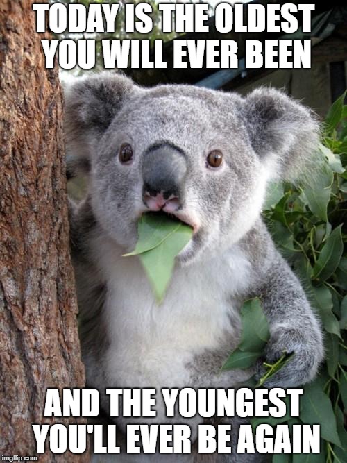 mind=blown
insipired by smerkin | TODAY IS THE OLDEST YOU WILL EVER BEEN; AND THE YOUNGEST YOU'LL EVER BE AGAIN | image tagged in memes,surprised koala,ssby,funny memes,smerkin | made w/ Imgflip meme maker