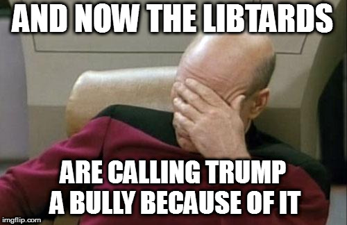 Captain Picard Facepalm Meme | AND NOW THE LIBTARDS ARE CALLING TRUMP A BULLY BECAUSE OF IT | image tagged in memes,captain picard facepalm | made w/ Imgflip meme maker