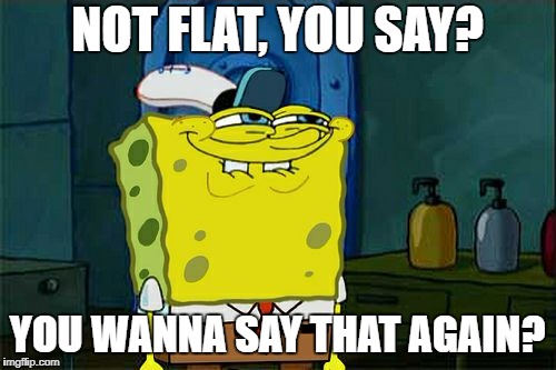 Don't You Squidward Meme | NOT FLAT, YOU SAY? YOU WANNA SAY THAT AGAIN? | image tagged in memes,dont you squidward | made w/ Imgflip meme maker