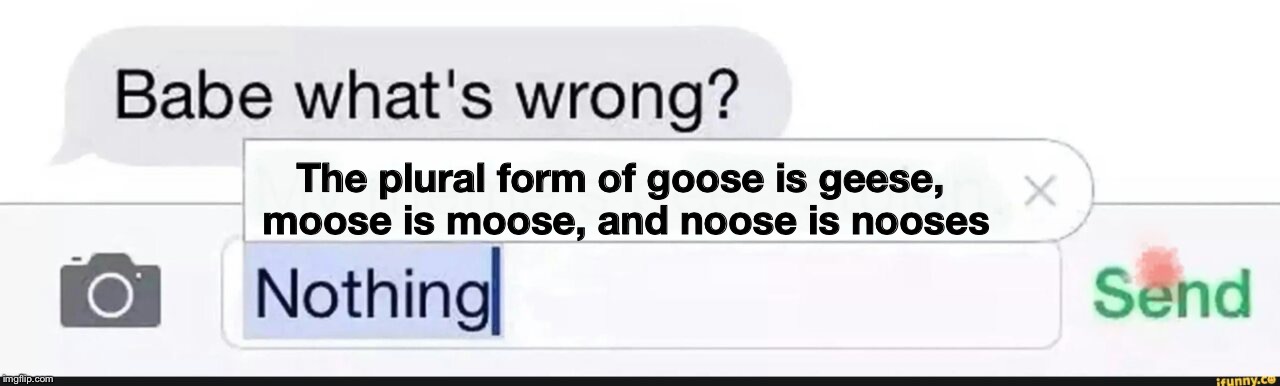 What's wrong nothing | The plural form of goose is geese, moose is moose, and noose is nooses | image tagged in what's wrong nothing | made w/ Imgflip meme maker