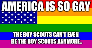 Gay america | AMERICA IS SO GAY; THE BOY SCOUTS CAN'T EVEN BE THE BOY SCOUTS ANYMORE.. | image tagged in american flag,futurama fry,funny,donald trump,trump bill signing | made w/ Imgflip meme maker