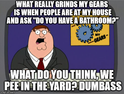 dumb questions annoy me. | WHAT REALLY GRINDS MY GEARS IS WHEN PEOPLE ARE AT MY HOUSE AND ASK "DO YOU HAVE A BATHROOM?"; WHAT DO YOU THINK, WE PEE IN THE YARD? DUMBASS | image tagged in memes,peter griffin news | made w/ Imgflip meme maker