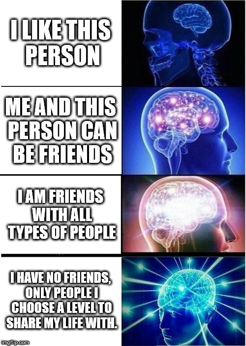 Expanding Brain Meme | I LIKE THIS PERSON ME AND THIS PERSON CAN BE FRIENDS I AM FRIENDS WITH ALL TYPES OF PEOPLE I HAVE NO FRIENDS, ONLY PEOPLE I CHOOSE A LEVEL T | image tagged in memes,expanding brain | made w/ Imgflip meme maker