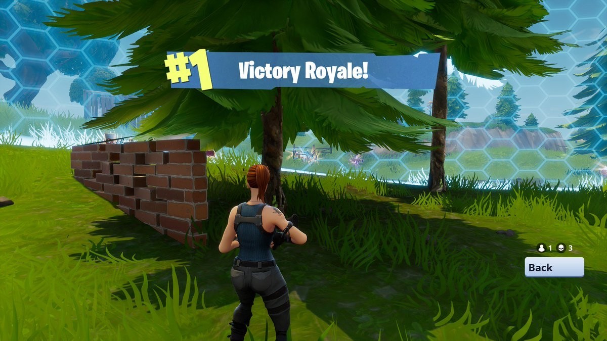 High Quality Fortnight victory royale Blank Meme Template