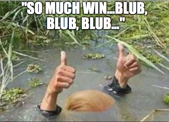 "SO MUCH WIN...BLUB, BLUB, BLUB..." | made w/ Imgflip meme maker