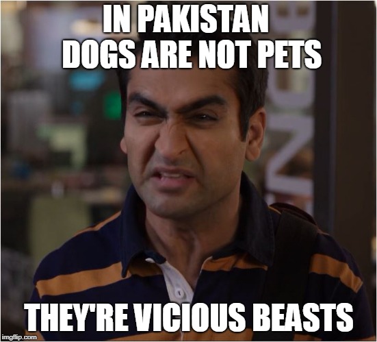 sillicon valley season 5 | IN PAKISTAN
 DOGS ARE NOT PETS; THEY'RE VICIOUS BEASTS | image tagged in sillicon valley season 5 | made w/ Imgflip meme maker