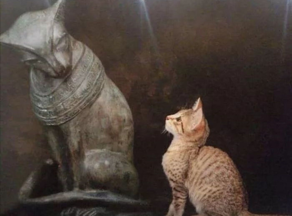 High Quality Cat Egypt  Blank Meme Template