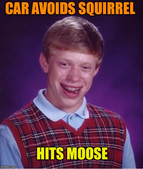 Bad Luck Brian Meme | CAR AVOIDS SQUIRREL HITS MOOSE | image tagged in memes,bad luck brian | made w/ Imgflip meme maker