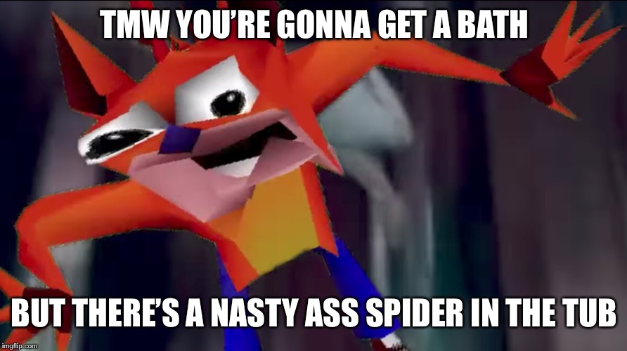 TMW | TMW YOU’RE GONNA GET A BATH; BUT THERE’S A NASTY ASS SPIDER IN THE TUB | image tagged in crash bandicoot,whoa,send help | made w/ Imgflip meme maker