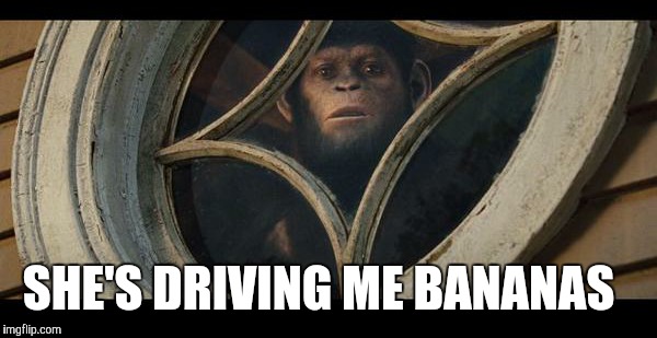 SHE'S DRIVING ME BANANAS | made w/ Imgflip meme maker