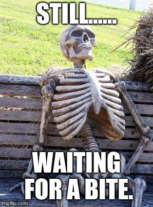 Waiting Skeleton Meme | STILL...... WAITING FOR A BITE. | image tagged in memes,waiting skeleton | made w/ Imgflip meme maker