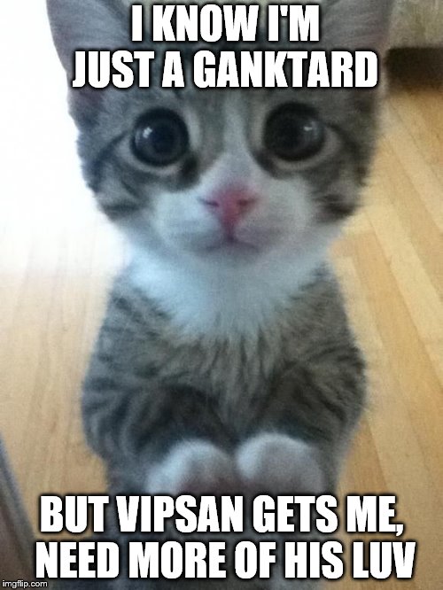 I just want friends who love cats, drink copious amounts of wine | I KNOW I'M JUST A GANKTARD; BUT VIPSAN GETS ME, NEED MORE OF HIS LUV | image tagged in i just want friends who love cats drink copious amounts of wine | made w/ Imgflip meme maker