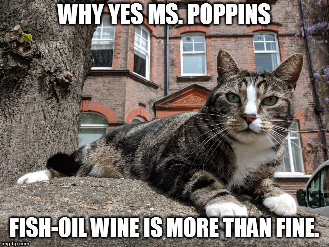 WHY YES MS. POPPINS; FISH-OIL WINE IS MORE THAN FINE. | image tagged in frenchie-greek-kitty | made w/ Imgflip meme maker