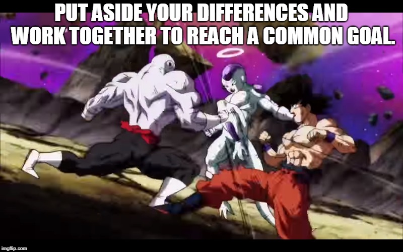 PUT ASIDE YOUR DIFFERENCES AND WORK TOGETHER TO REACH A COMMON GOAL. | made w/ Imgflip meme maker