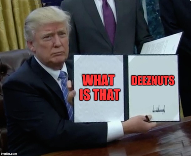 Trump Bill Signing Meme | WHAT IS THAT; DEEZNUTS | image tagged in memes,trump bill signing | made w/ Imgflip meme maker