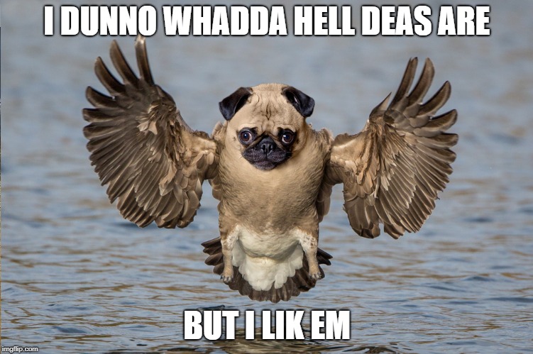 Legendary Peagle | I DUNNO WHADDA HELL DEAS ARE; BUT I LIK EM | image tagged in birb,pupper | made w/ Imgflip meme maker