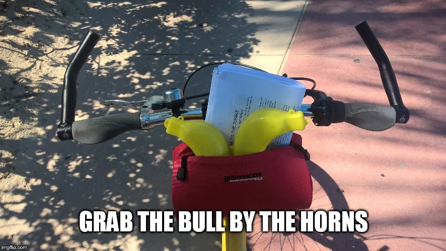 GRAB THE BULL BY THE HORNS | made w/ Imgflip meme maker
