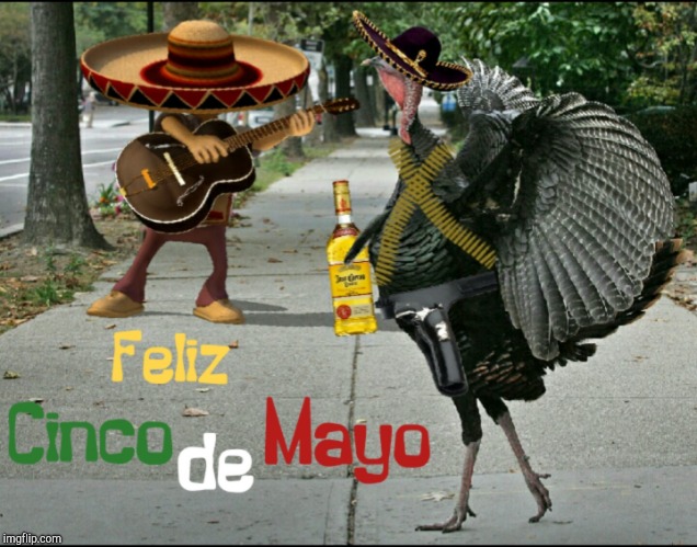 Cinco De Mayo | image tagged in turkey,jefthehobo,tequila memes,i bring the funny | made w/ Imgflip meme maker