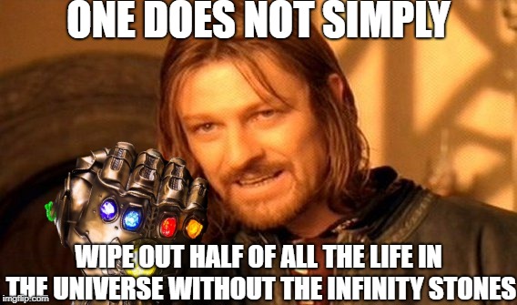 ONE DOES NOT SIMPLY; WIPE OUT HALF OF ALL THE LIFE IN THE UNIVERSE WITHOUT THE INFINITY STONES | image tagged in memes,one does not simply,infinity war,avengers infinity war | made w/ Imgflip meme maker