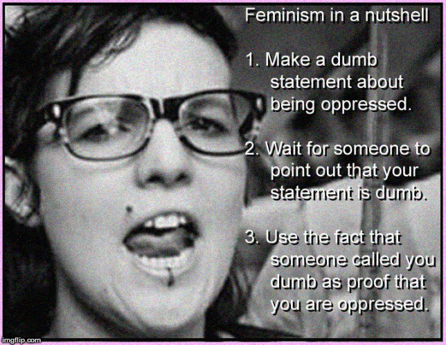 Feminism in a nutshell ( pun intended ) | image tagged in feminism,angry feminist,triggered feminist,politics lol,feminazi,funny memes | made w/ Imgflip meme maker