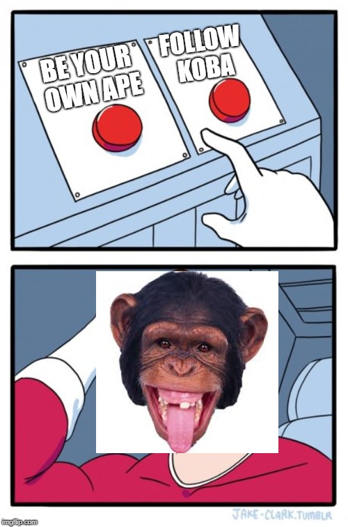 Two Buttons Meme | BE YOUR OWN APE FOLLOW KOBA | image tagged in memes,two buttons | made w/ Imgflip meme maker