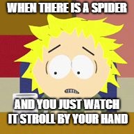 Rainbow 6 Siege skill | WHEN THERE IS A SPIDER; AND YOU JUST WATCH IT STROLL BY YOUR HAND | image tagged in rainbow 6 siege skill | made w/ Imgflip meme maker