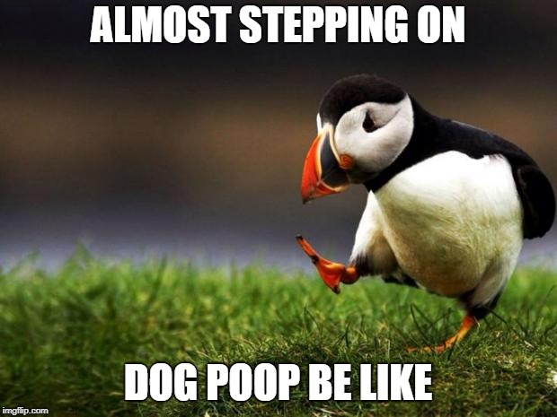 Unpopular Opinion Puffin Meme | ALMOST STEPPING ON; DOG POOP BE LIKE | image tagged in memes,unpopular opinion puffin | made w/ Imgflip meme maker