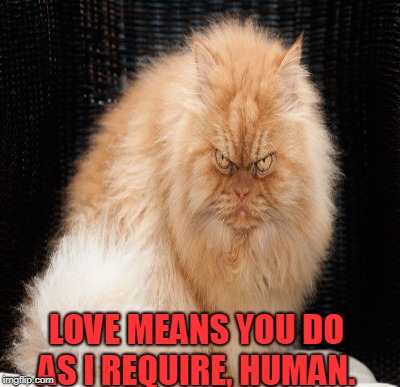 LOVE MEANS YOU DO AS I REQUIRE, HUMAN. | made w/ Imgflip meme maker