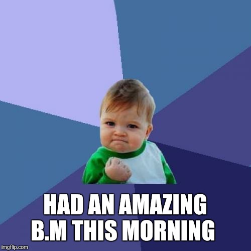 Success Kid Meme | HAD AN AMAZING B.M THIS MORNING | image tagged in memes,success kid | made w/ Imgflip meme maker