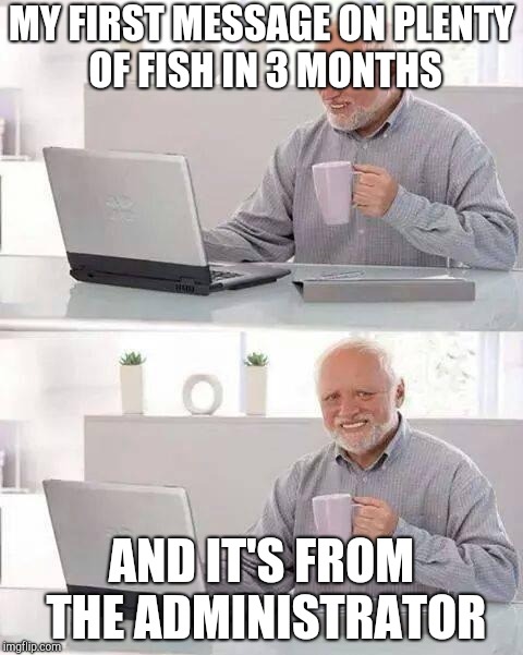 The experience of most male users on POF | MY FIRST MESSAGE ON PLENTY OF FISH IN 3 MONTHS; AND IT'S FROM THE ADMINISTRATOR | image tagged in memes,hide the pain harold | made w/ Imgflip meme maker