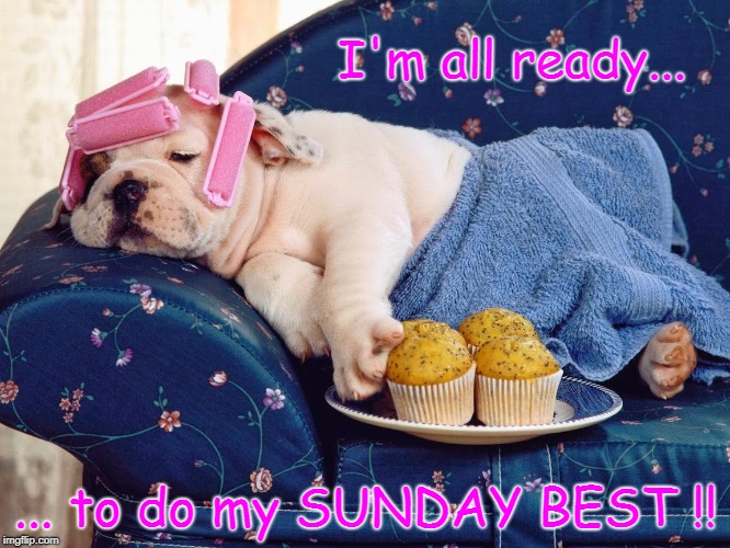 SUNDAY BEST! | I'm all ready... ... to do my SUNDAY BEST !! | image tagged in lazy sunday,all ready | made w/ Imgflip meme maker