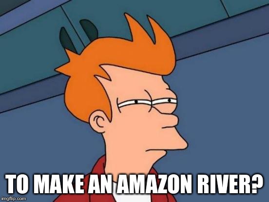 Futurama Fry Meme | TO MAKE AN AMAZON RIVER? | image tagged in memes,futurama fry | made w/ Imgflip meme maker