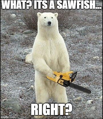 chainsaw polar bear | WHAT? ITS A SAWFISH... RIGHT? | image tagged in chainsaw polar bear | made w/ Imgflip meme maker