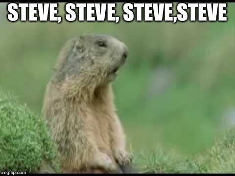 STEVE, STEVE, STEVE,STEVE | image tagged in what | made w/ Imgflip meme maker