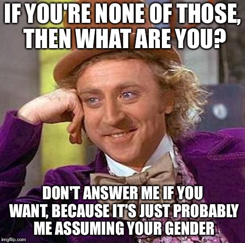 Creepy Condescending Wonka Meme | IF YOU'RE NONE OF THOSE, THEN WHAT ARE YOU? DON'T ANSWER ME IF YOU WANT, BECAUSE IT'S JUST PROBABLY ME ASSUMING YOUR GENDER | image tagged in memes,creepy condescending wonka | made w/ Imgflip meme maker