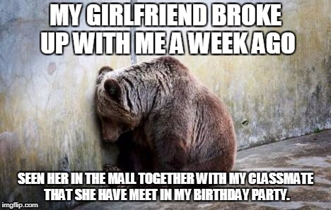Sad Bear | MY GIRLFRIEND BROKE UP WITH ME A WEEK AGO; SEEN HER IN THE MALL TOGETHER WITH MY CLASSMATE THAT SHE HAVE MEET IN MY BIRTHDAY PARTY. | image tagged in sad bear | made w/ Imgflip meme maker