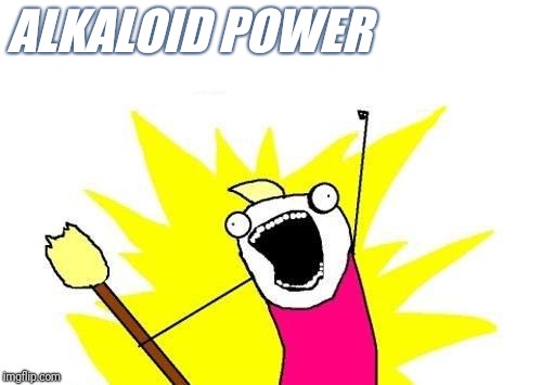 X All The Y | ALKALOID POWER | image tagged in memes,x all the y | made w/ Imgflip meme maker