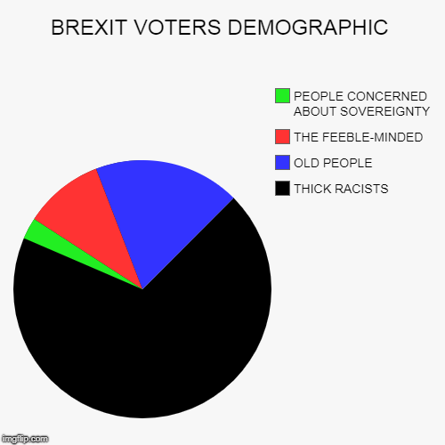 BREXIT VOTERS DEMOGRAPHIC | THICK RACISTS, OLD PEOPLE, THE FEEBLE-MINDED, PEOPLE CONCERNED ABOUT SOVEREIGNTY | image tagged in funny,pie charts | made w/ Imgflip chart maker