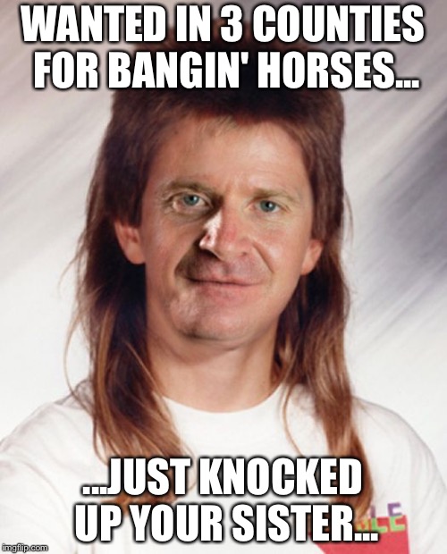 Mullet Mike is Gonna be a Daddy! | WANTED IN 3 COUNTIES FOR BANGIN' HORSES... ...JUST KNOCKED UP YOUR SISTER... | image tagged in mullet mike,daddy,baby daddy,mullet,funny memes,pregnant | made w/ Imgflip meme maker